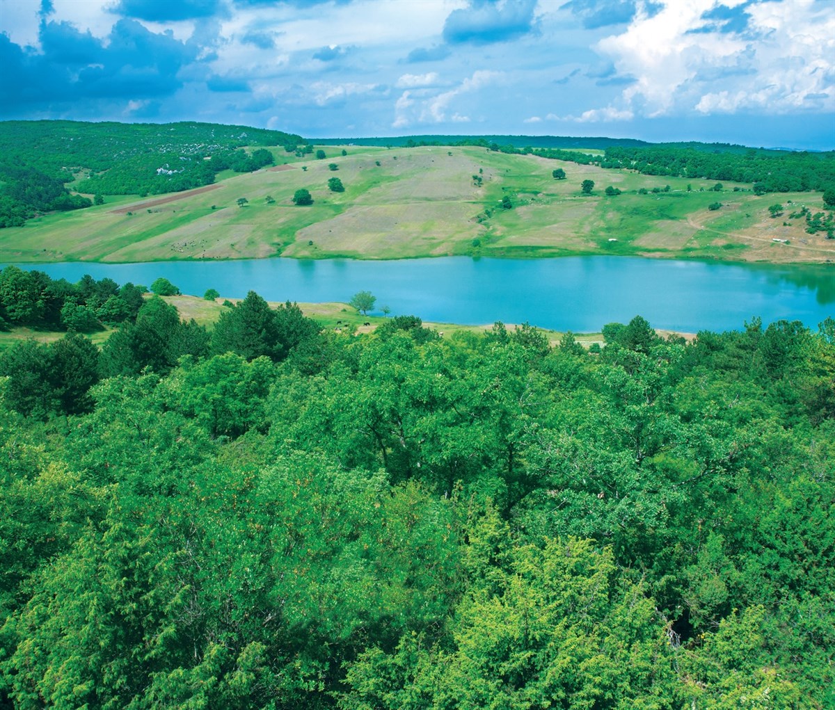 Çavuşköy Baraj Göleti Doğanın Sakin Köşesi 9522