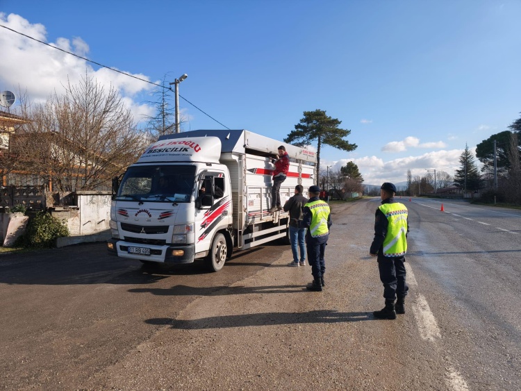 Gölpazarı’nda Canlı Hayvan Nakillerine Sıkı Denetim 10835