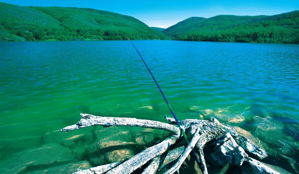 Kurtköy Baraj Göleti 9524