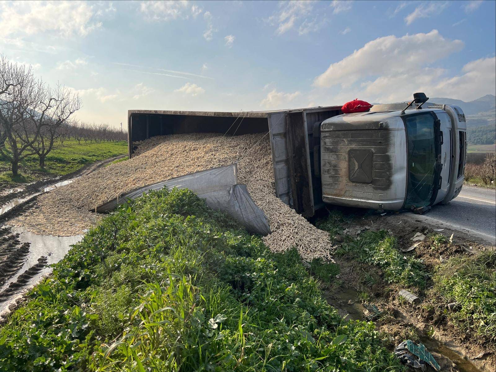 Mısır Koçanı Yüklü Tır Devrildi 1 Yaralı 10387