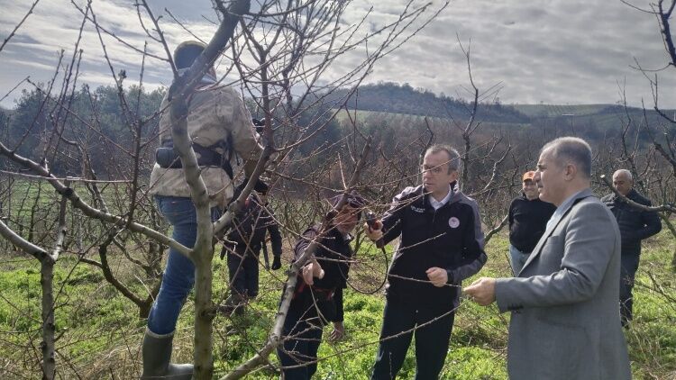 Osmaneli Çerkeşli Köyü’nde Çiftçi Ziyareti 11023