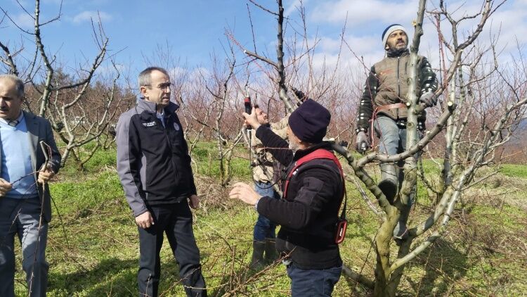 Osmaneli Çerkeşli Köyü’nde Çiftçi Ziyareti 11025
