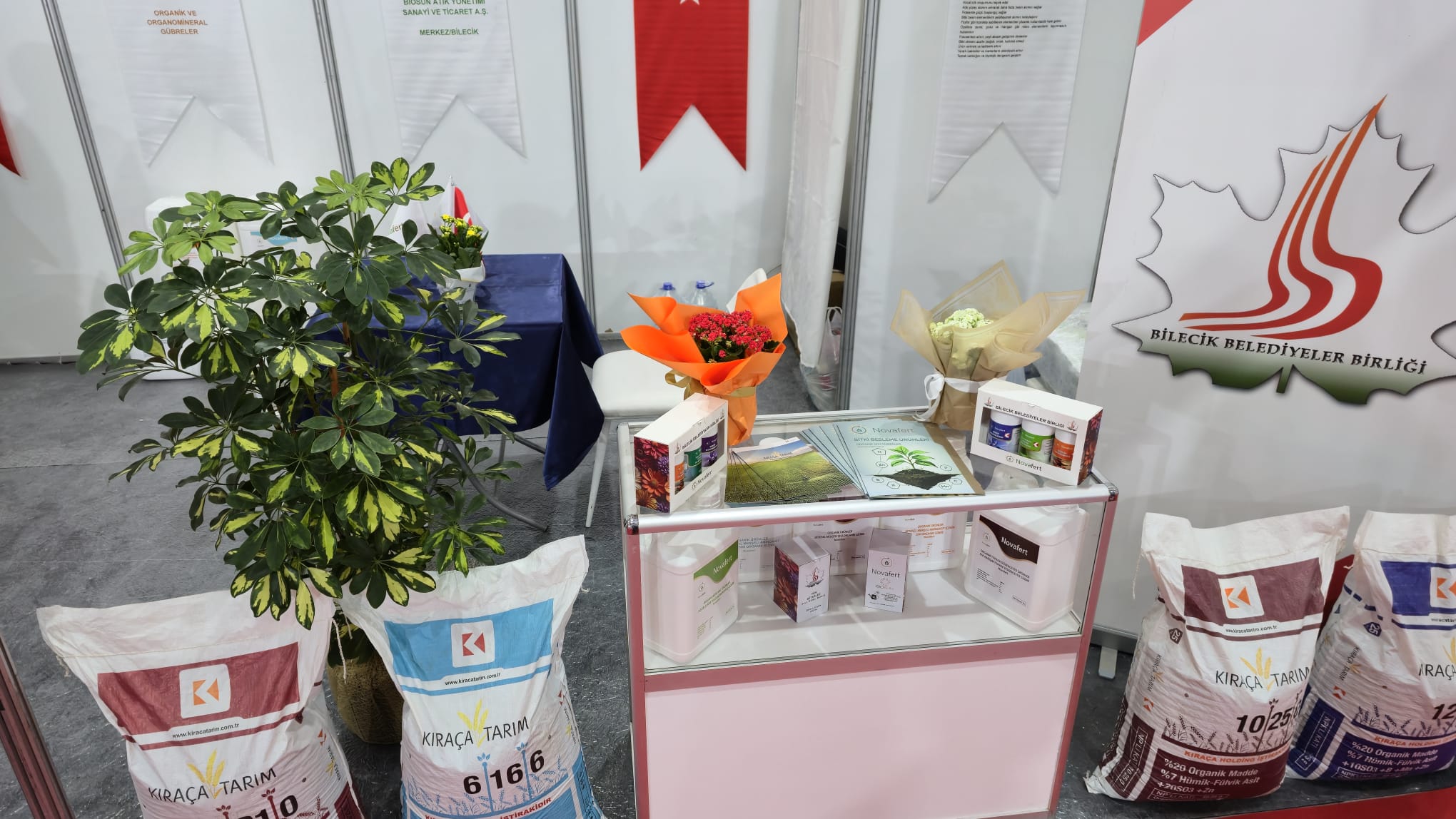 Whatsapp Image 2026 02 03 At 10.06.47