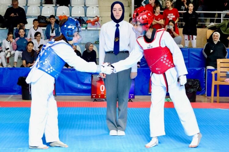 Bilecik’te Yıldız Tekvandocular Tatamiye Çıktı 11473