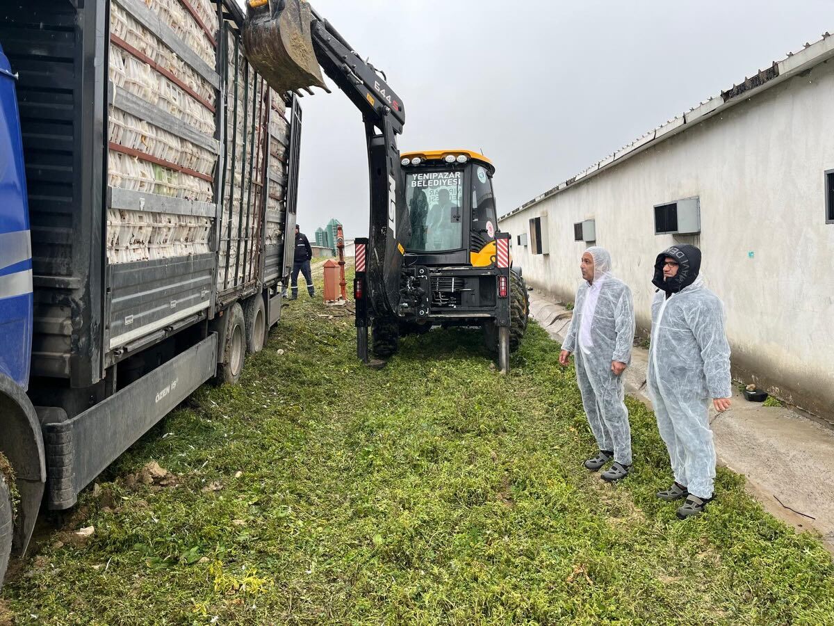 Çılgın Başkandan Mahsur Kalan Tavuklara Müdahale 12318
