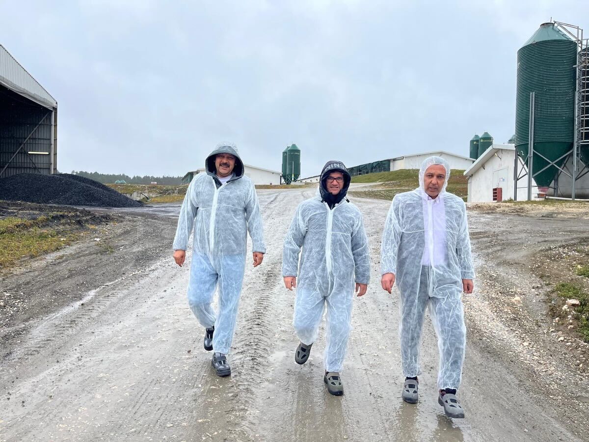 Çılgın Başkandan Mahsur Kalan Tavuklara Müdahale 12320