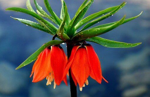 Doğasında Gizli Bir Nostalji 11428