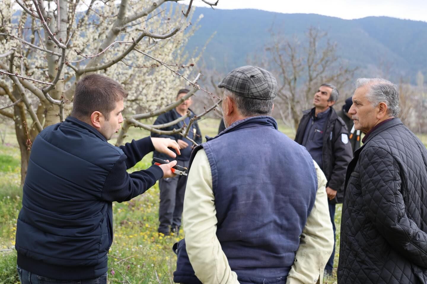 Gölpazarı’nda Üreticilere Budama Kursu 12135