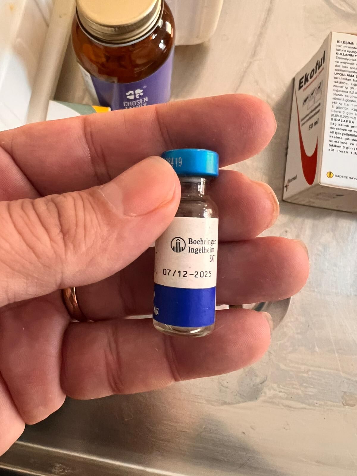 Hayvanlar Çipli, Kısır Değil, Ilaçların Tarihi Geçmiş 12406