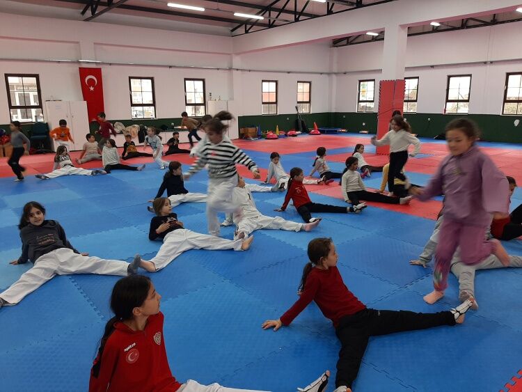 Osmaneli Taekwondo Sporcuları Güç Ve Hızla Hazırlanıyor 11319