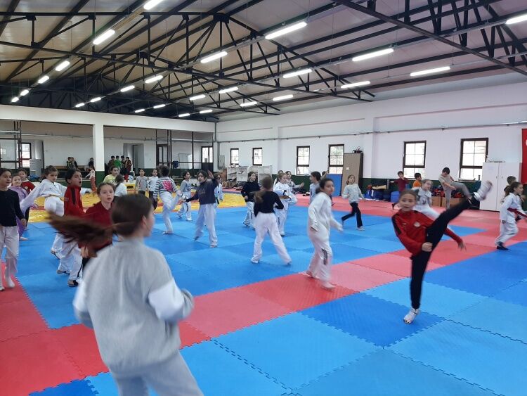 Osmaneli Taekwondo Sporcuları Güç Ve Hızla Hazırlanıyor 11320