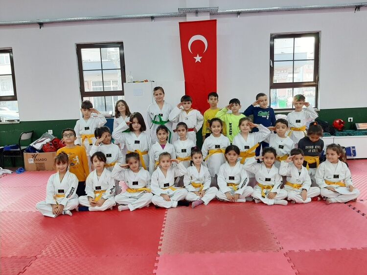 Osmaneli Taekwondo Sporcuları Güç Ve Hızla Hazırlanıyor 11321