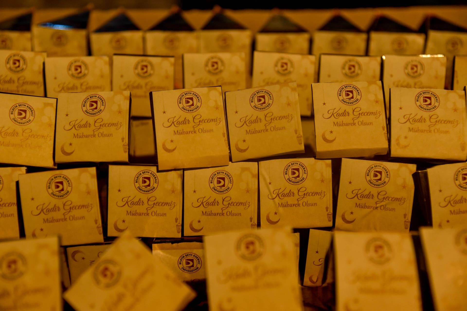 Şeyh Edebali’nin 700. Vefat Yılında 1001 Hatim Duası Kadir Gecesi’nde Gerçekleştirildi 11928