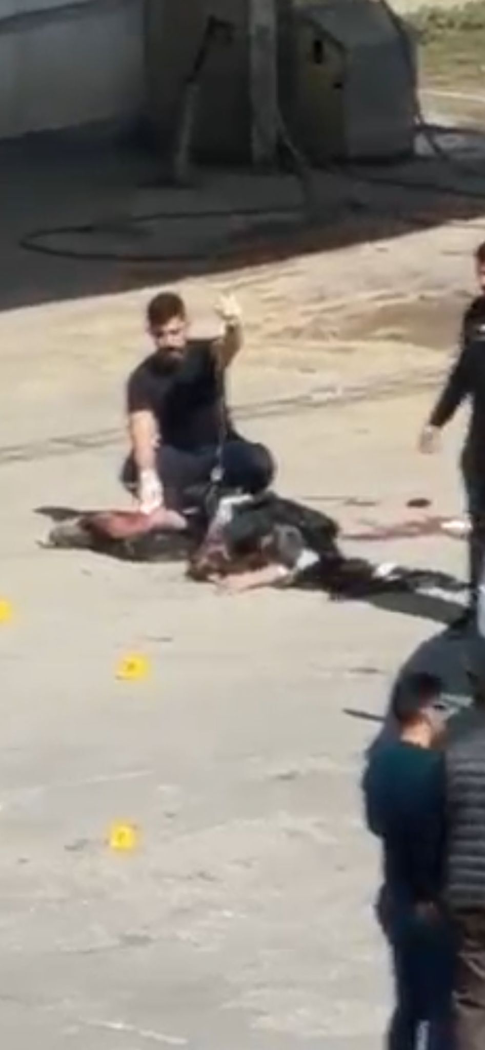 Whatsapp Image 2026 03 12 At 16.47.53