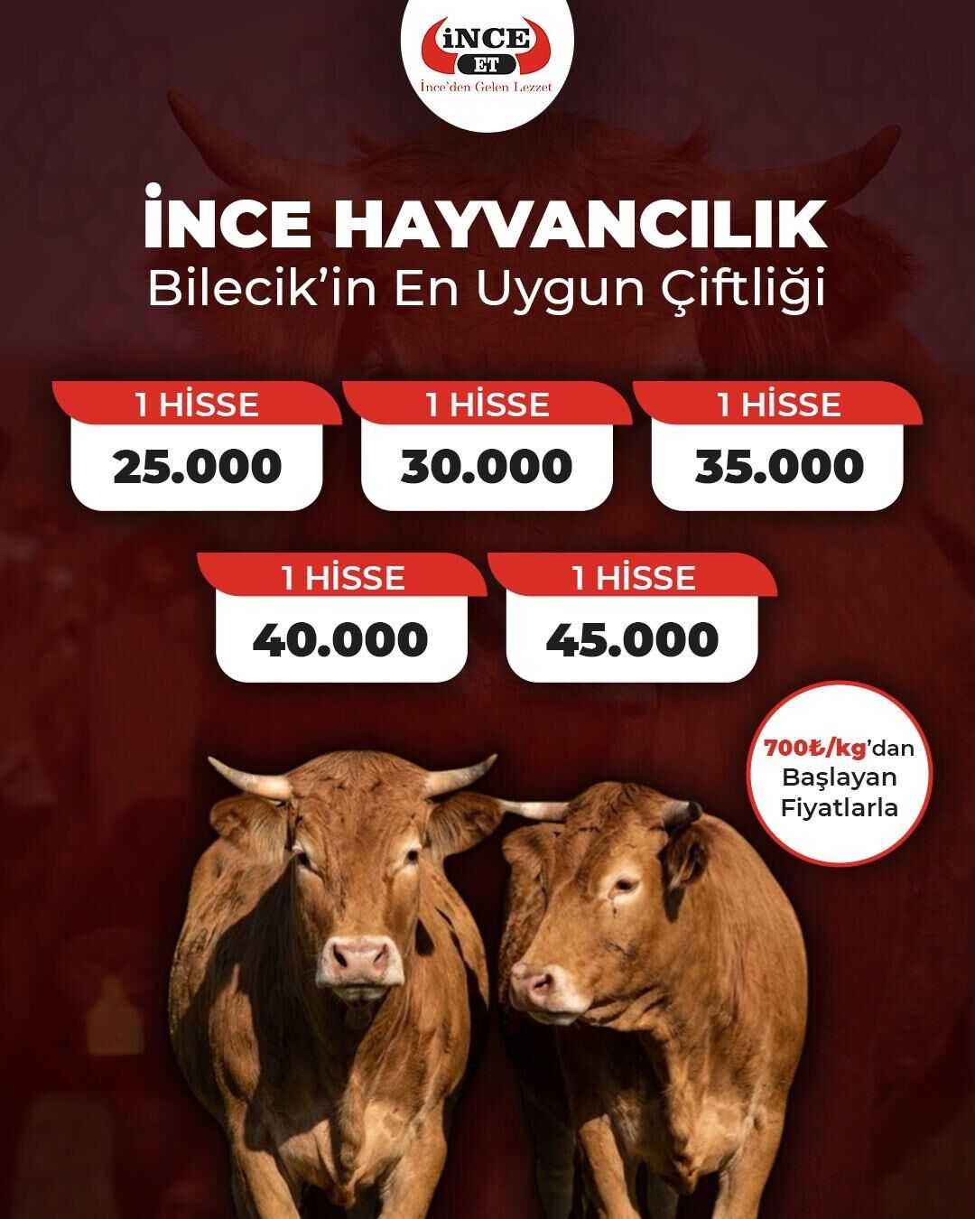 Whatsapp Image 2026 03 29 At 12.47.04