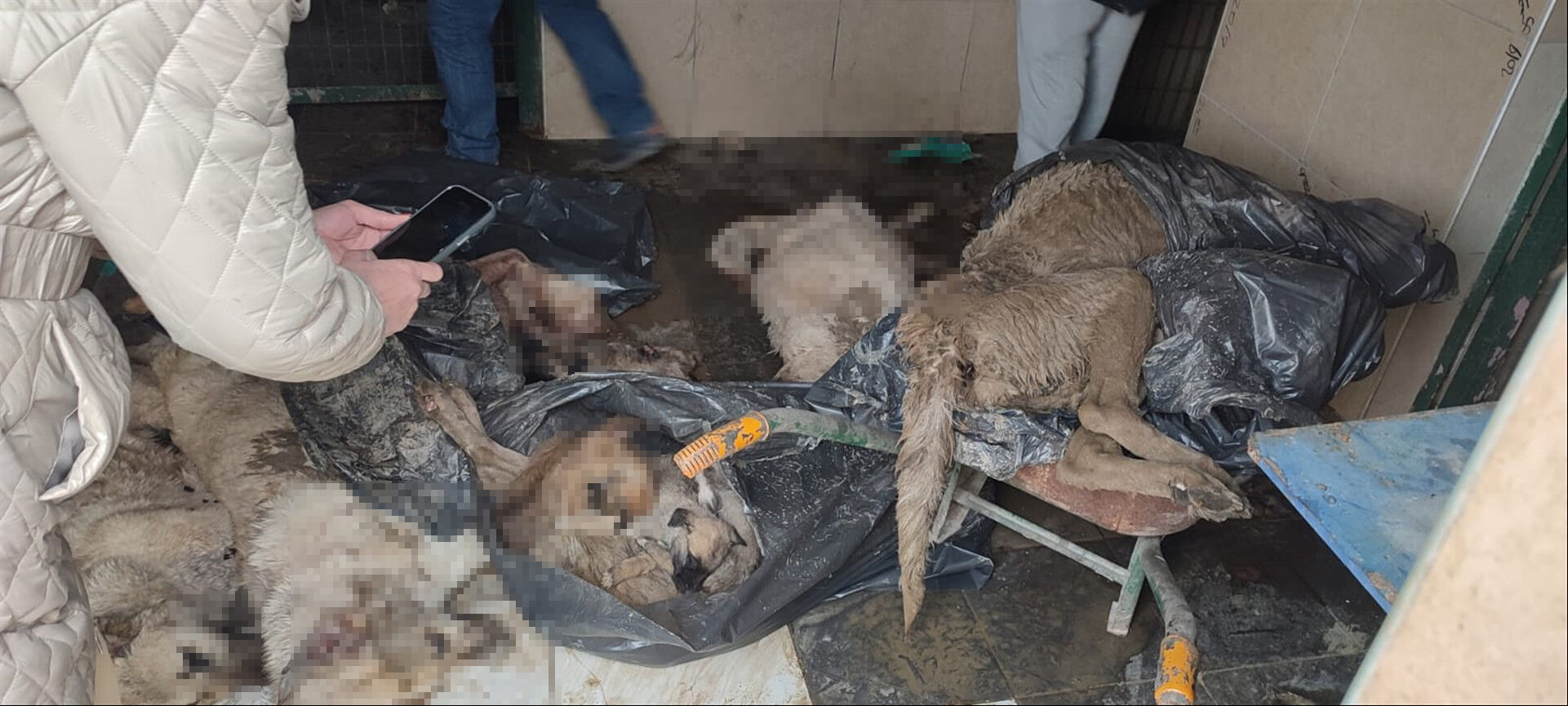 Whatsapp Image 2026 03 31 At 13.13.02