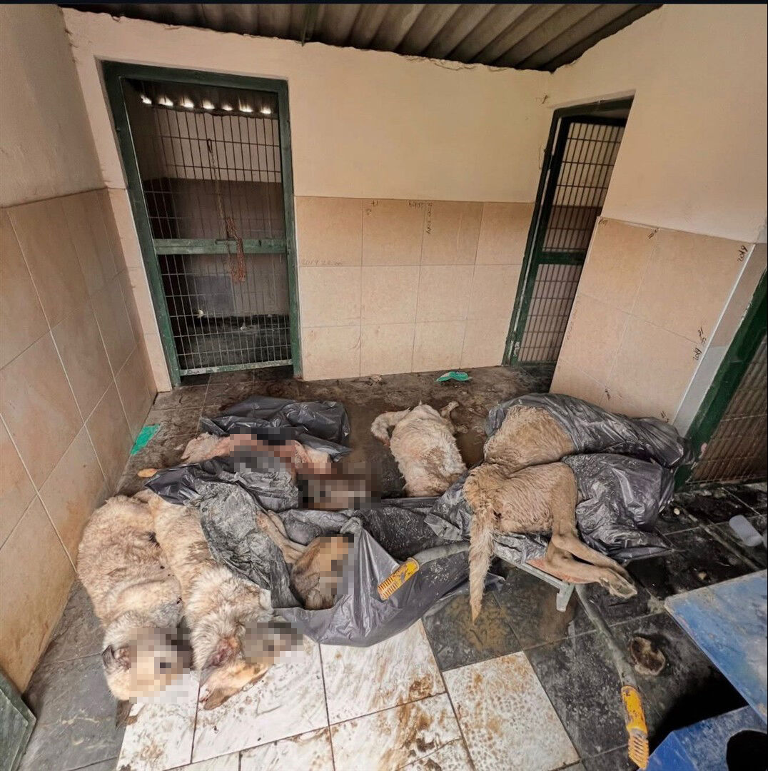 Whatsapp Image 2026 03 31 At 13.20.39