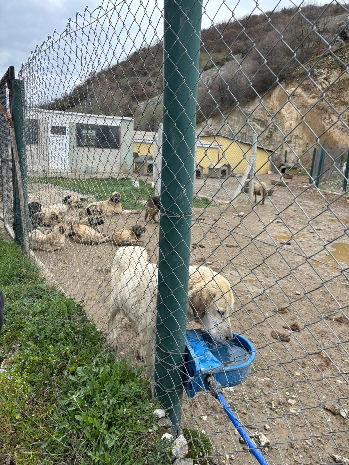 Whatsapp Image 2026 03 31 At 16.36.24 (1)