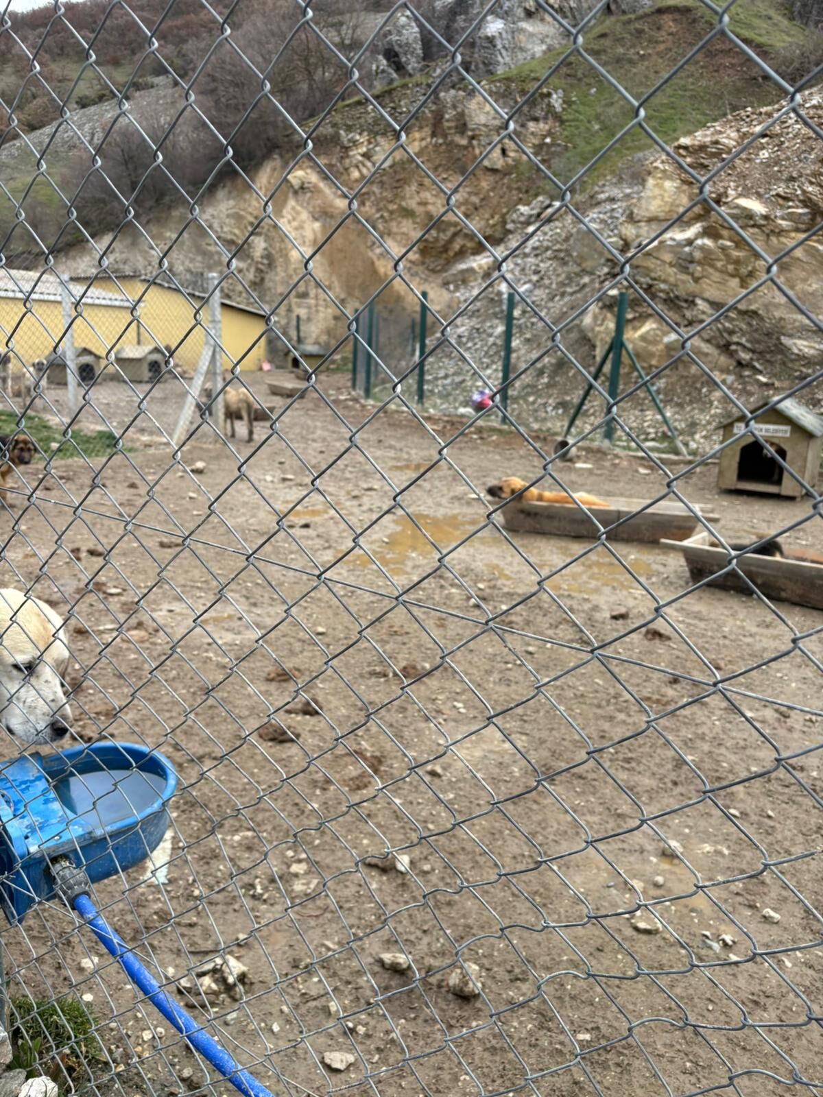 Whatsapp Image 2026 03 31 At 16.36.24