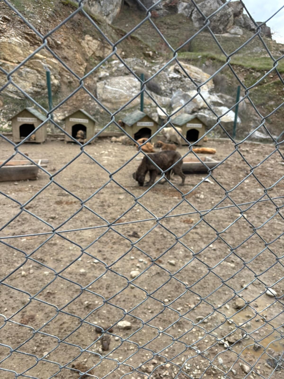 Whatsapp Image 2026 03 31 At 16.36.25 (1)