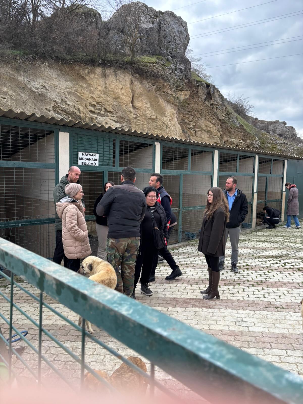 Whatsapp Image 2026 03 31 At 16.36.25