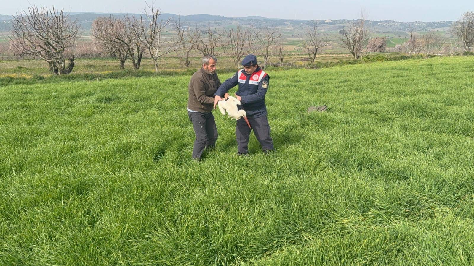 Yaralı Leyleğe Jandarma Şefkati 12026