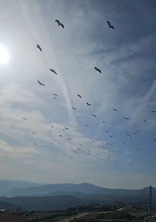 Yarenin Arkadaşları Bilecik Semalarında 11413