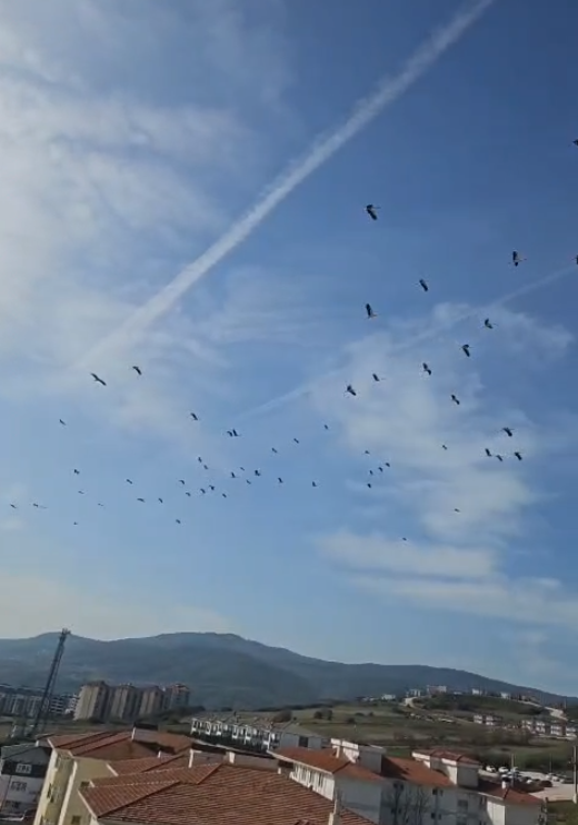 Yarenin Arkadaşları Bilecik Semalarında 11414