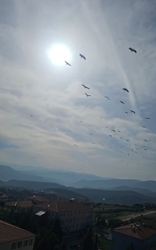 Yarenin Arkadaşları Bilecik Semalarında 11415