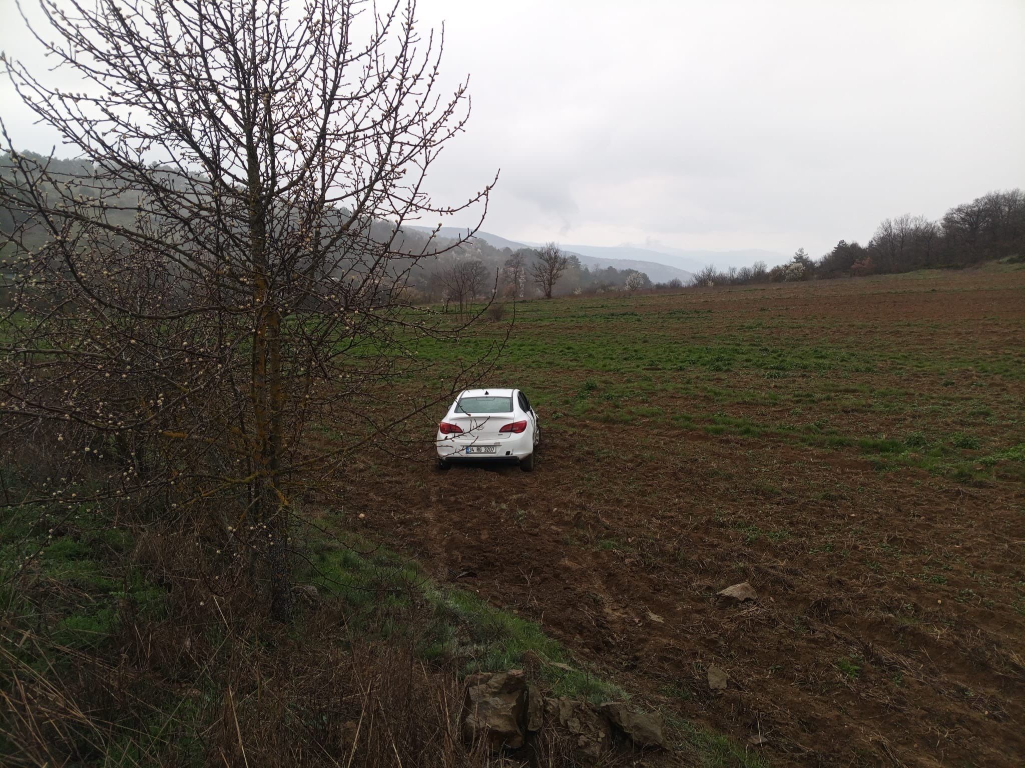 Ağaca Çarptı, Tarlaya Savruldu 12957