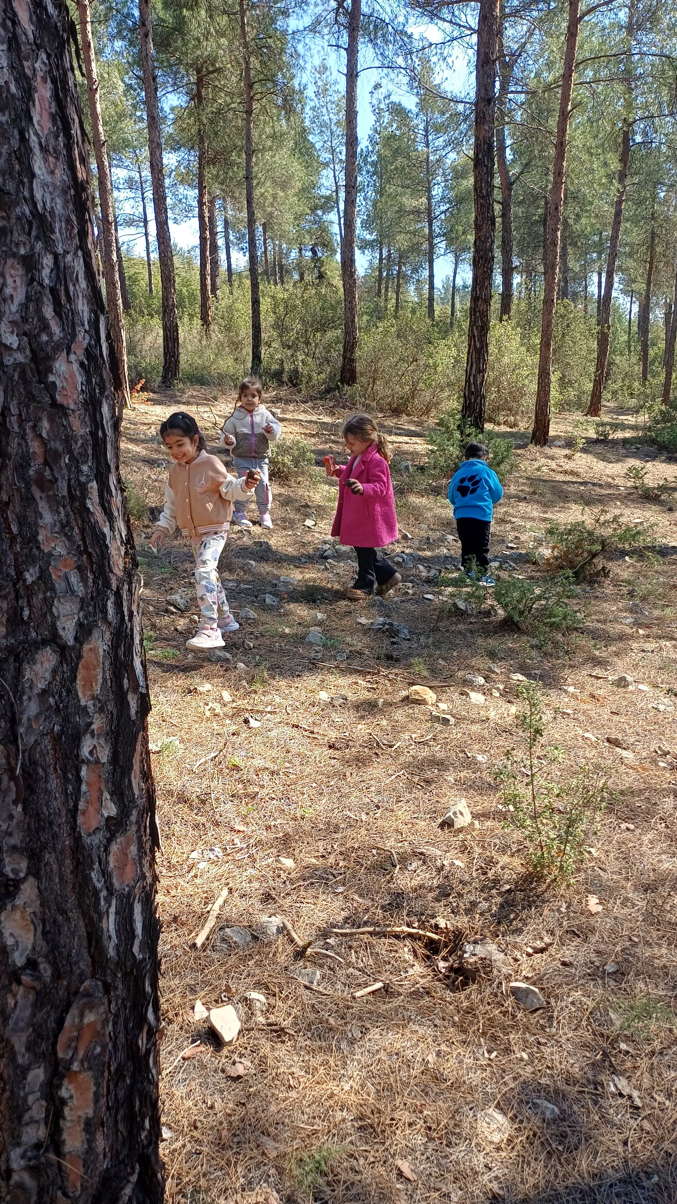 Atabil Koleji’nde Orman Haftası Coşkusu 12806