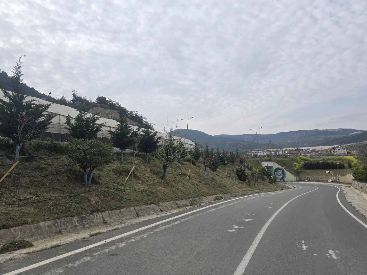 Bayırköy’de Yaz Öncesi Temizlik Seferberliği 13146