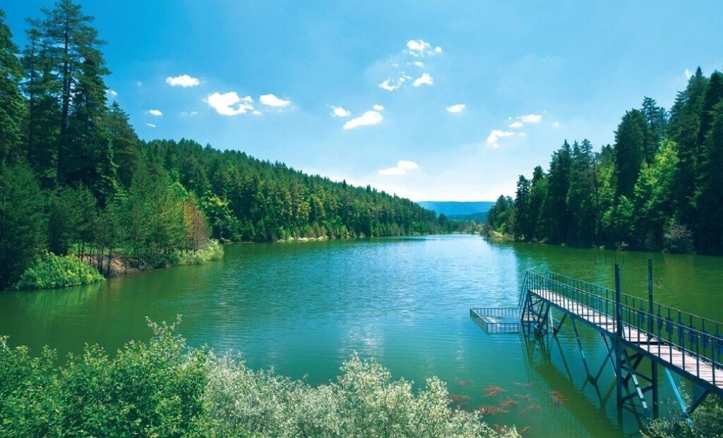 Bilecik Haber Dogaya Acilan Savas Ormansizlastirma 120788