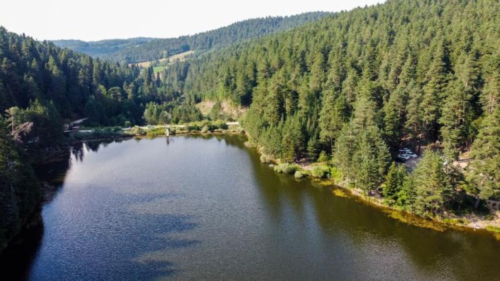 Bilecik Haber Dogaya Acilan Savas Ormansizlastirma 120789