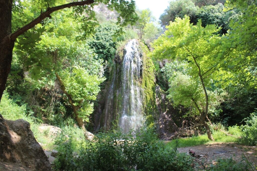 Bilecik Haber Dogaya Acilan Savas Ormansizlastirma 120790