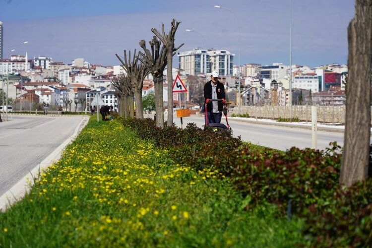 Bilecik’te Bahar Mesaisi Parklar Ve Refüjler Yenileniyor 12732