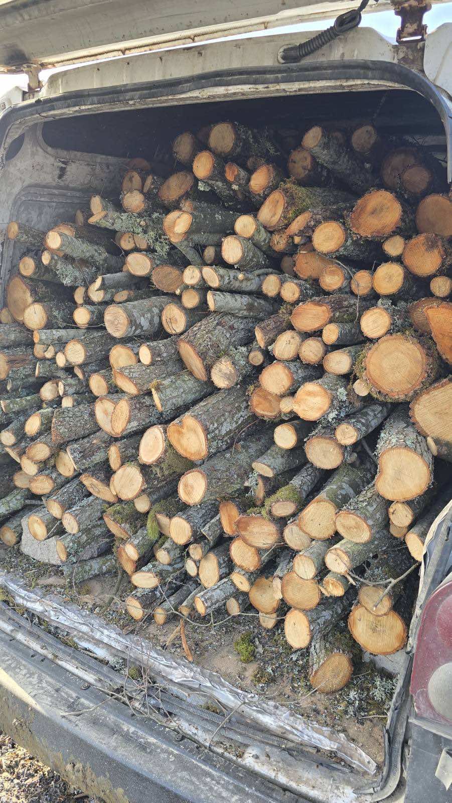 Bilecikte Kaçak Orman Emvali Operasyonu 12996