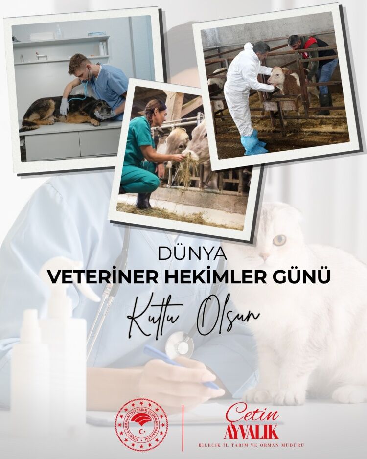 Bilecik’te Veteriner Hekimlere Anlamlı Kutlama 13489