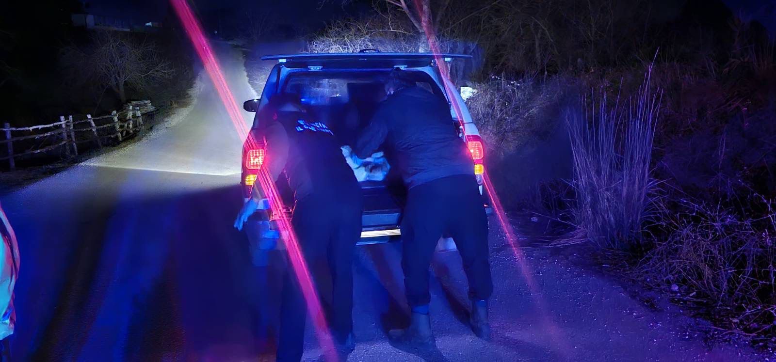 Bir Hayvan Haberi Daha Ama Kalpleri Isıtandan 12435