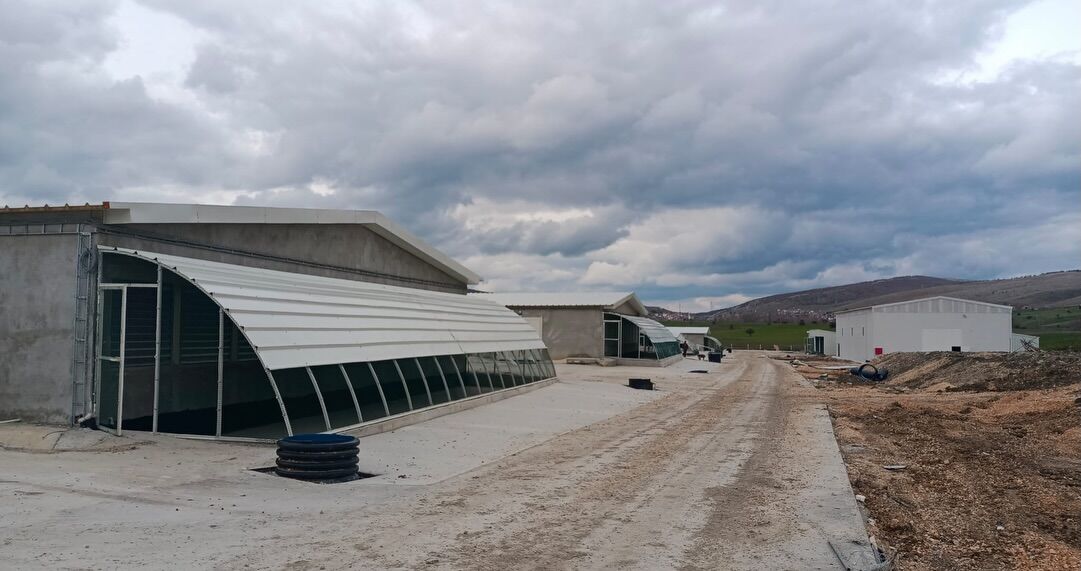 Dodurga’da Yüksek Kapasiteli Broiler Tesisi İncelendi 12429