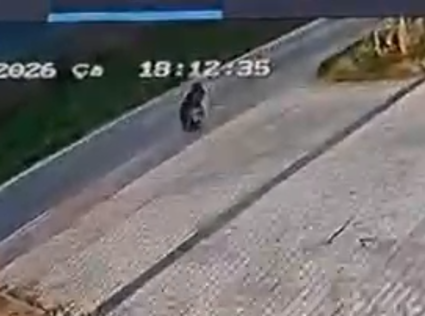 Ekran Görüntüsü 2026 04 02 101859