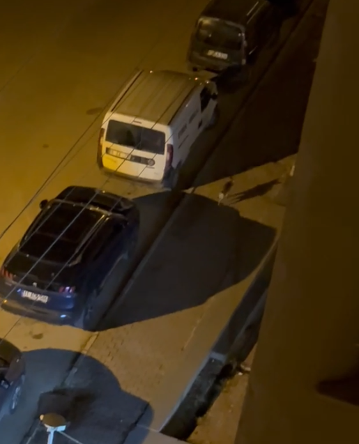 Ekran Görüntüsü 2026 04 27 142111