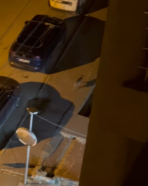 Ekran Görüntüsü 2026 04 27 142121