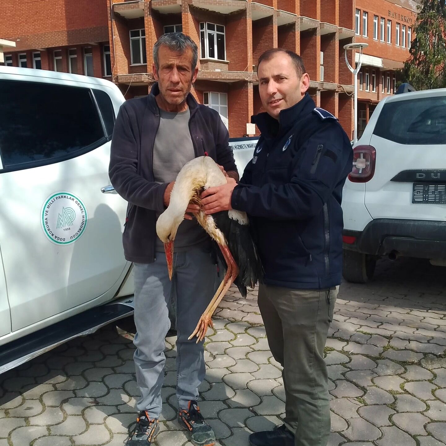 “Göç Yolundaki Leylek Kurtarıldı Doğaya Dönüş Umudu” 12558