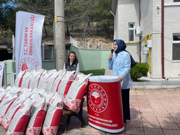 Gölpazarı’nda Üretim Hamlesi 10 Bin Dekarı Aşan Ayçiçeği Ekimi Hedefi 12718