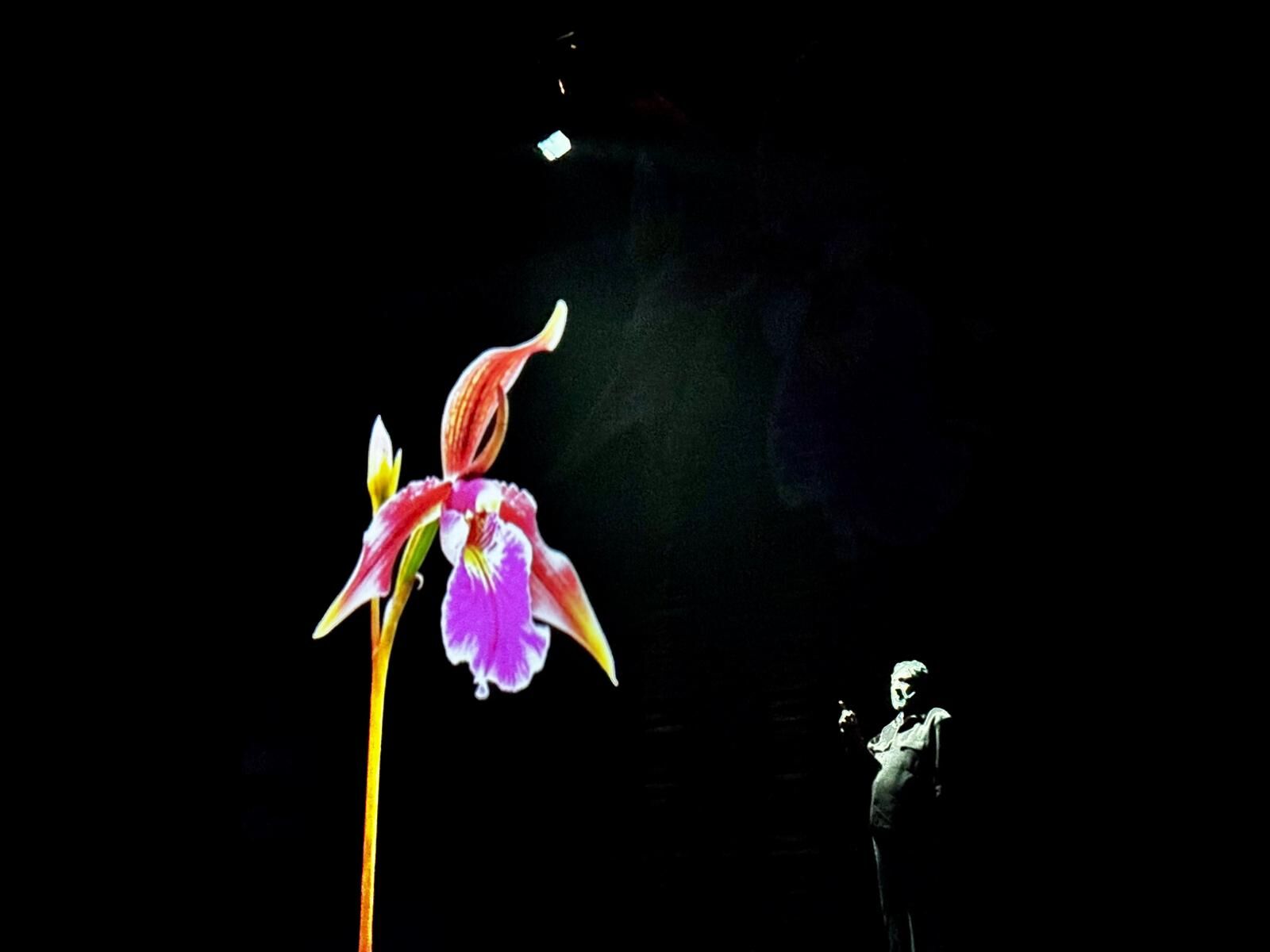 Şeyh Edebali Yılı’na Anlamlı Oyun 13236