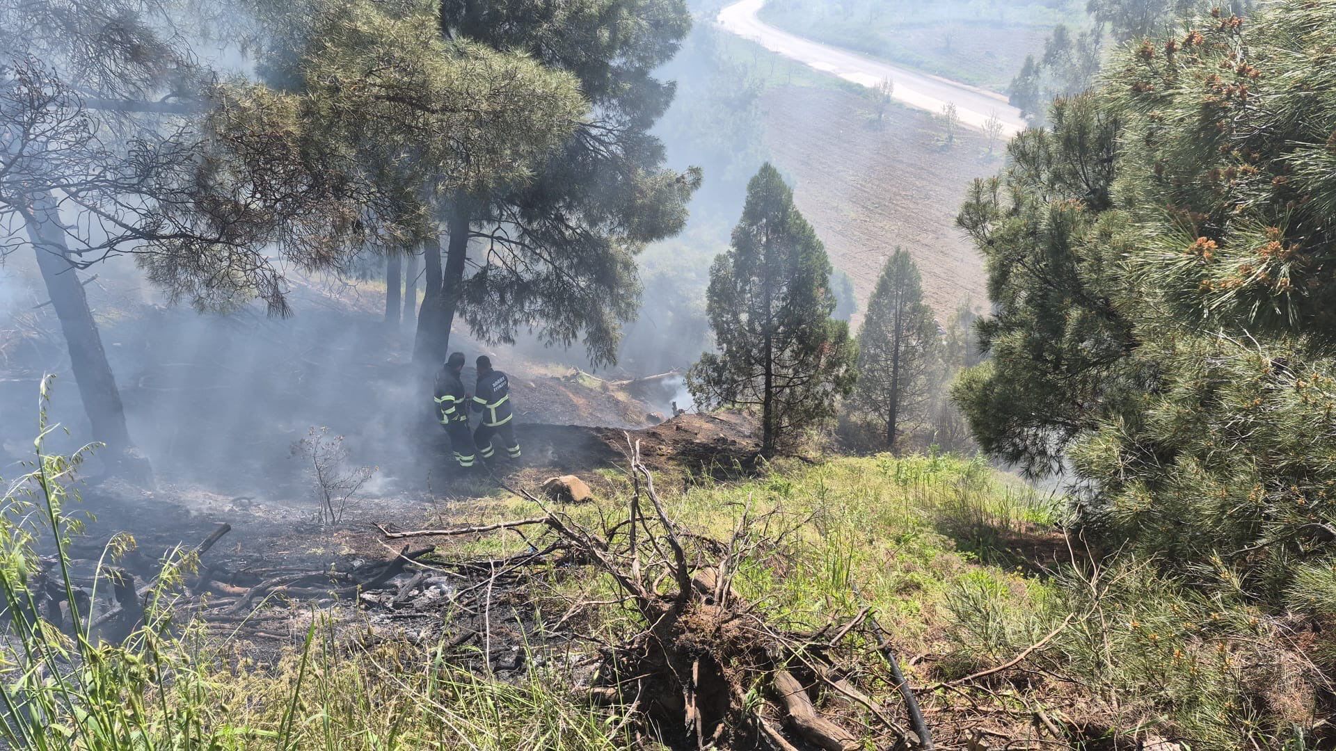 Türbe Yakınındaki Orman Yangını Korkuttu 13517 (1)