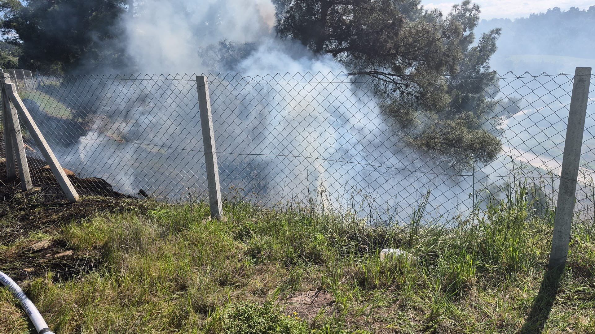 Türbe Yakınındaki Orman Yangını Korkuttu 13518 (1)