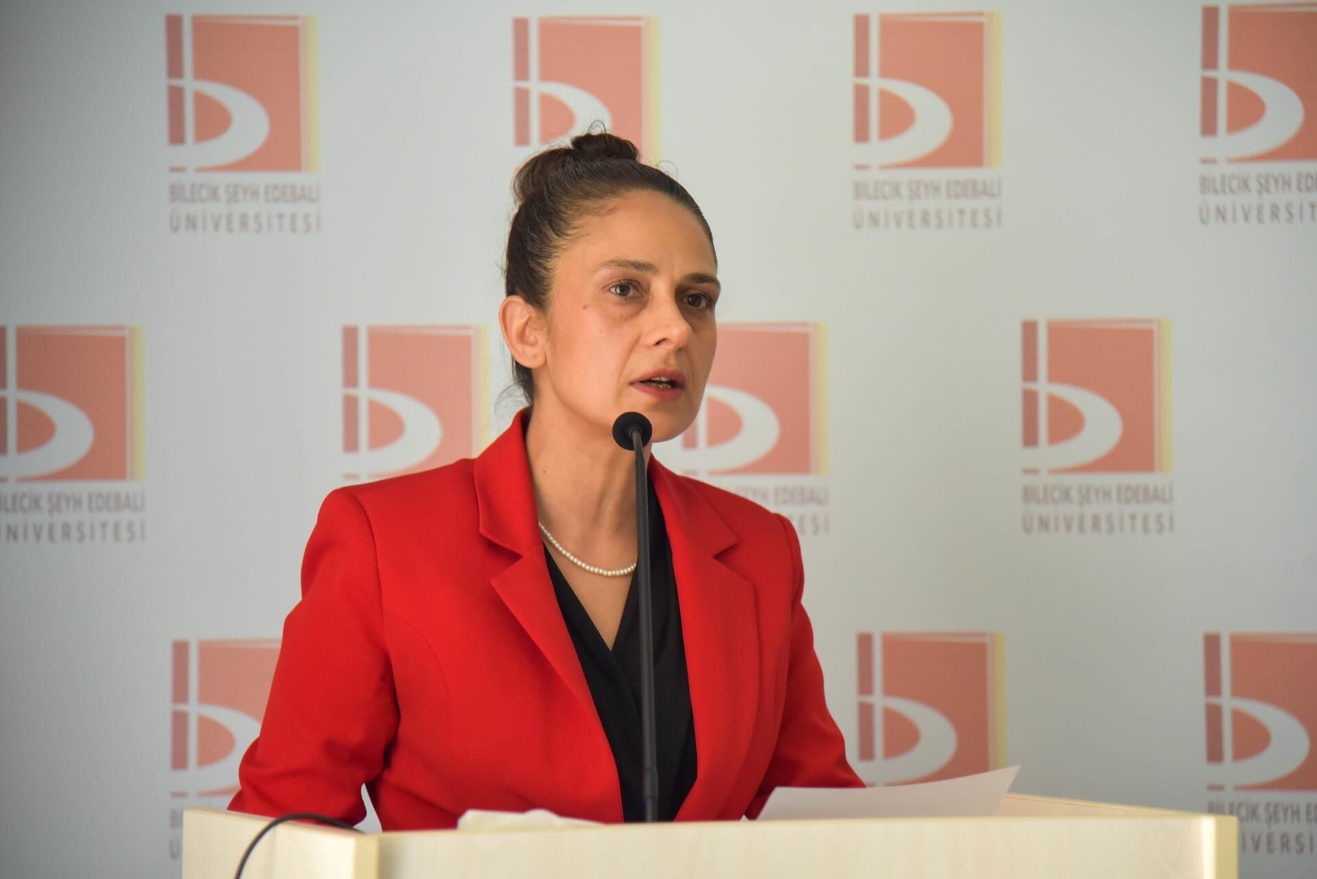 Üniversitede “Çanakkale Zaferi Ve Milli Kimlik” Konferansı 12884