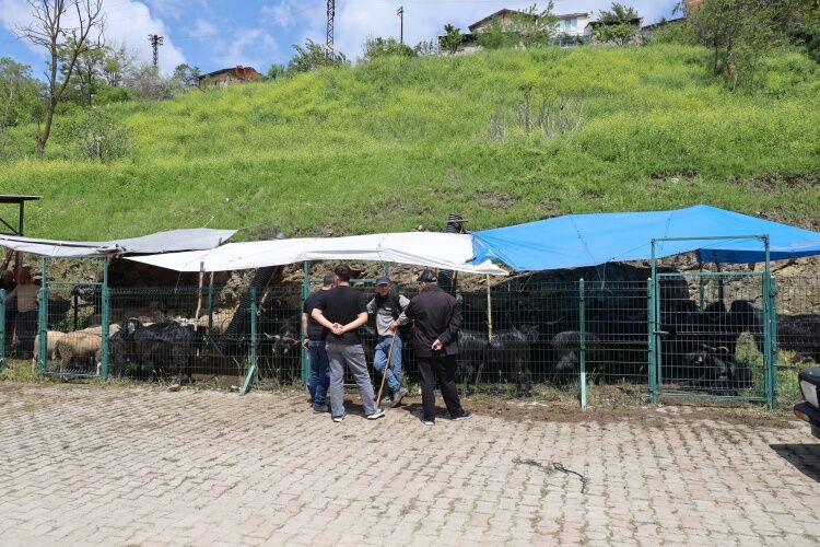 Başkan Durgut’tan Kurban Pazarına Bayram Öncesi Ziyaret 14986